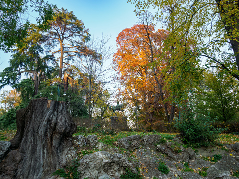 Parco Sempione, public park in Milan, Lombardy, Italy, in November