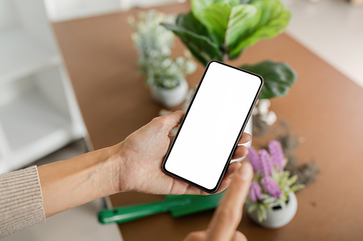 A person is holding a phone with a white screen. The phone is on a table with a few potted plants in the background. The person is looking at the phone, possibly checking something or taking a picture
