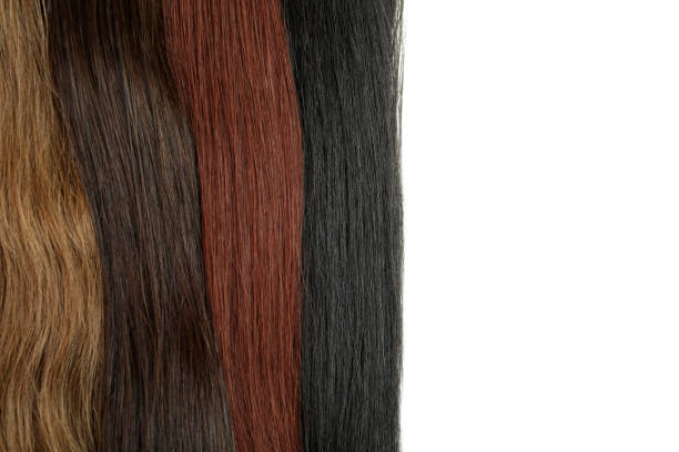 istock Different color female hair on white background 2129741625