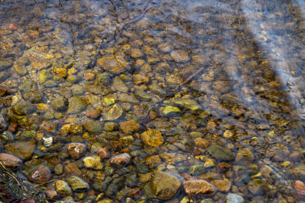 istock Texture, background. The surface of the water in the river with pebbles 2129753843