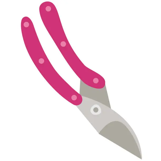 Vector illustration of Gardening equipment. Pink secateurs. Simple pruner vector design.