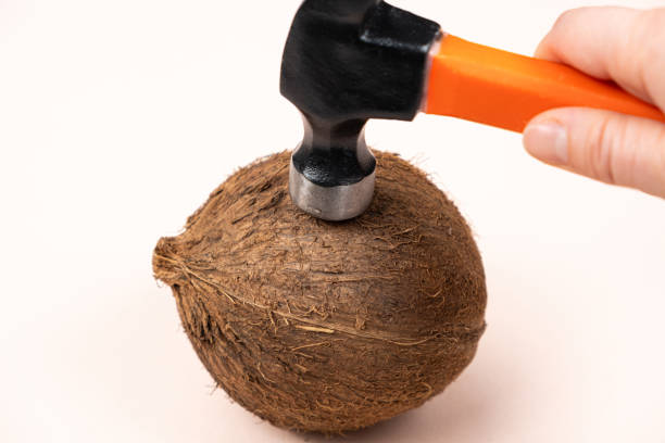 The process of breaking a coconut with a hammer. Ways to open a coconut.