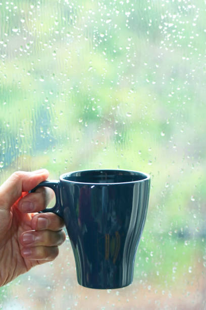60+ Monsoon Coffee Stock Photos, Pictures & Royalty-Free Images - IStock