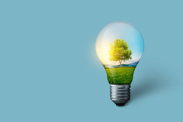 istock Creative light bulb with green field and wood at sunset with sun light. Solar energy and saving electricity, Concept idea. Nature and power 2129773721