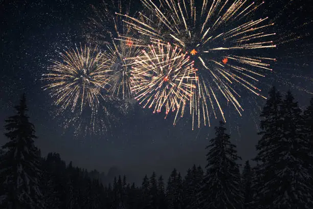 Golden beautiful fireworks explode in the starry sky on New Year's Eve 2023. Holiday and celebration. Fireworks in the amazing winter forest. New Year's Eve nature