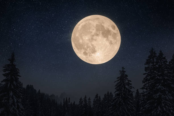 istock Night clear starry sky in a snowy forest on Christmas Eve 2129804358