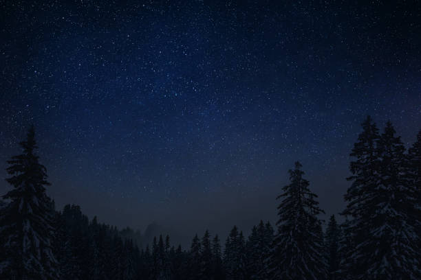 istock Night clear starry sky in a snowy forest on Christmas Eve 2129805397