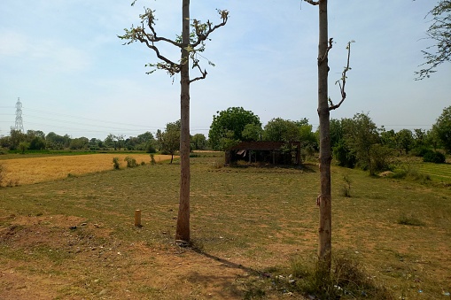 Agricultural, Vishnagar to Kheralu Road, Gujarat