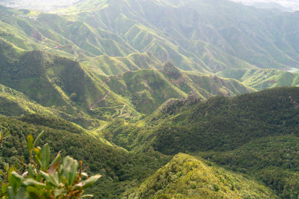 istock Wild nature of Anaga 2129830466