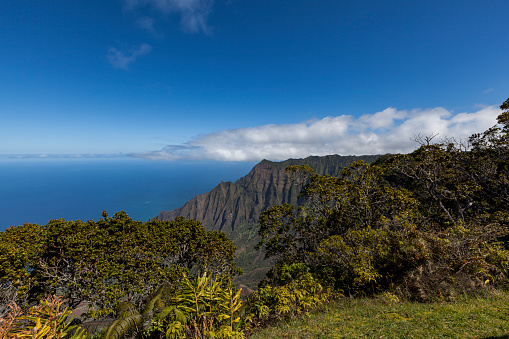 kalalau lookout at nā pali coast state wilderness park, kaui island, hawaii islands, usa.