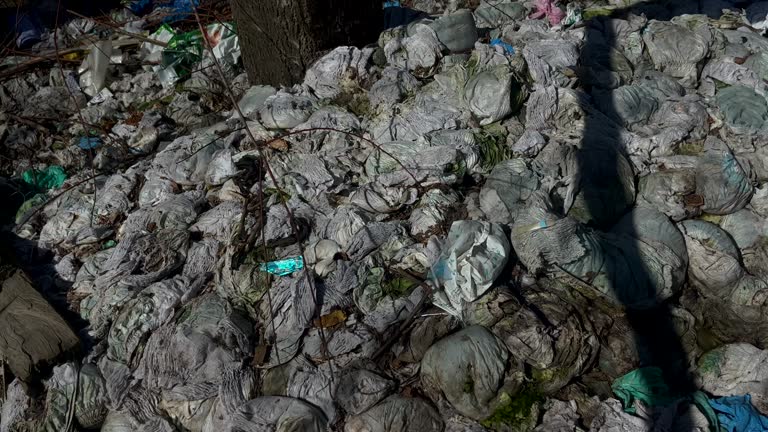 diapers under trees making environmental Pollution