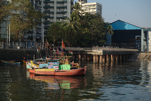 Fishing boats with Shivaji Maharaj flag mooring in the harbor next to Egret birds sitting in front of the industrial shed in Sassoon Docks which is one of the oldest docks in Mumbai, It is one of the largest fish markets in Mumbai City