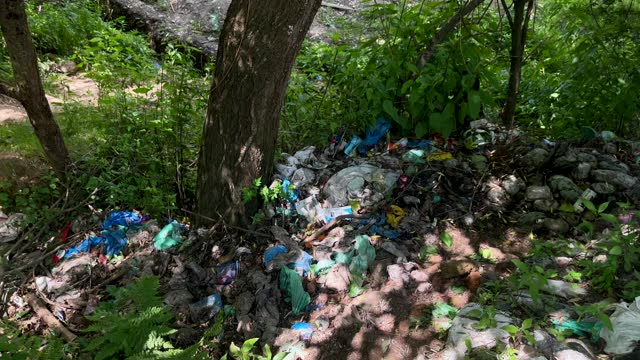 diapers under trees making environmental Pollution
