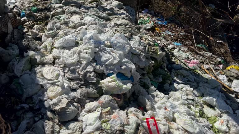 diapers under trees making environmental Pollution