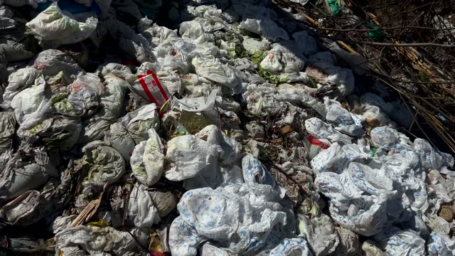 diapers under trees making environmental Pollution