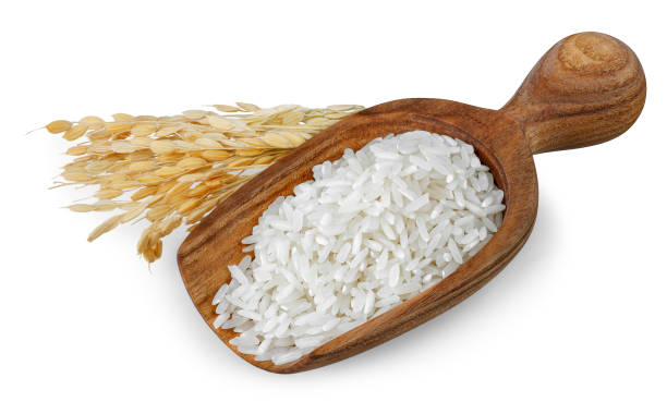 istock rice in brown wooden scoop with ears isolated on white 2129887926