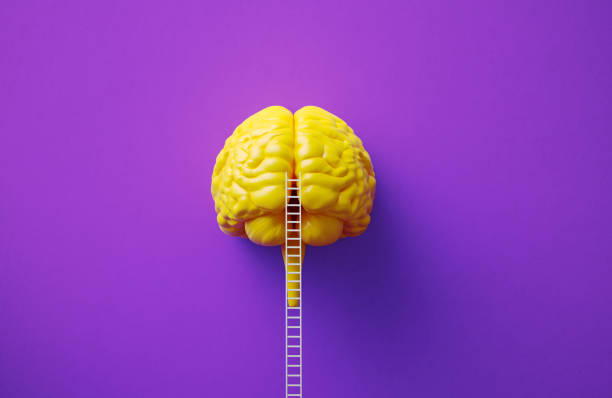 istock White Ladder Leaning Onto A Yellow Colored Brain Object Before Purple Background 2129899006