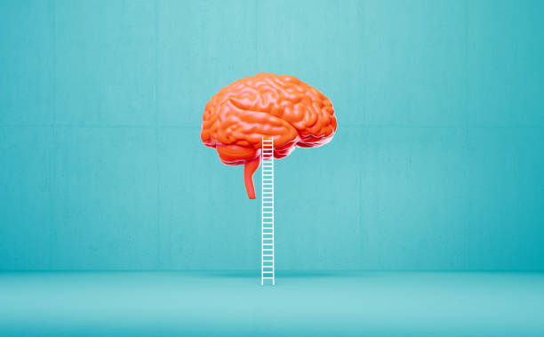 istock White Ladder Leaning Onto A Coral Colored Brain Object Before Blue Background 2129920993