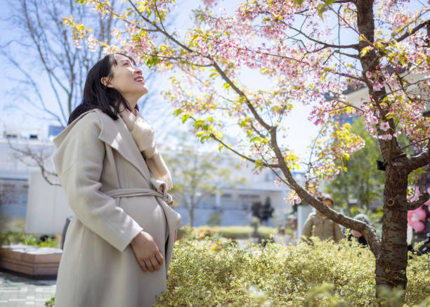 istock Pregnant woman looking at cherry blossoms 2129926268