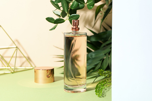 Eucalyptus oil in glass bottle with eucalyptus branch
