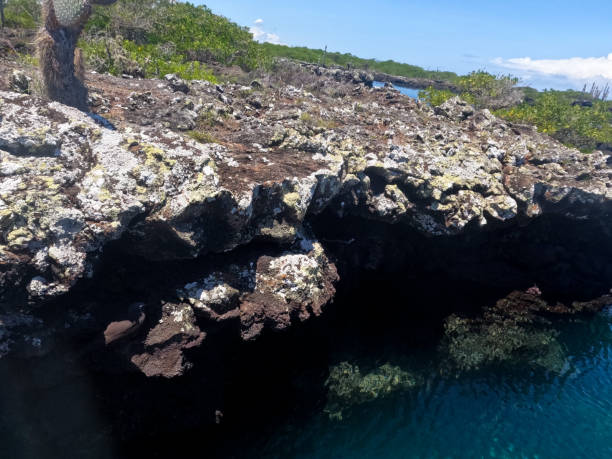 istock Tour to the Isabela Tunnels - Galapagos 2129953054