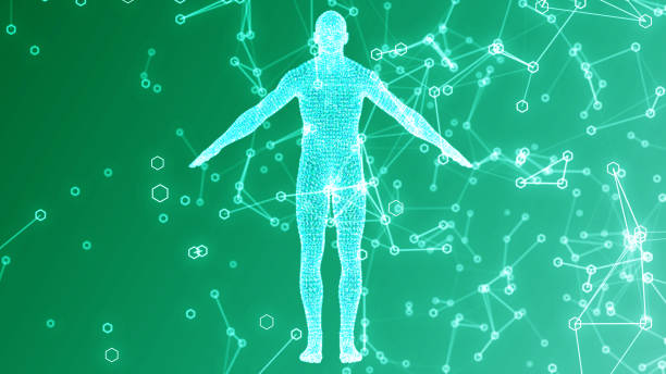 istock Medical technology concept.Human  3D rendering 2129991534