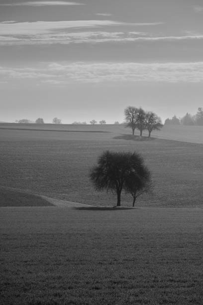 istock Spring Landscape in the Mostviertel of Lower Austria 2130022342