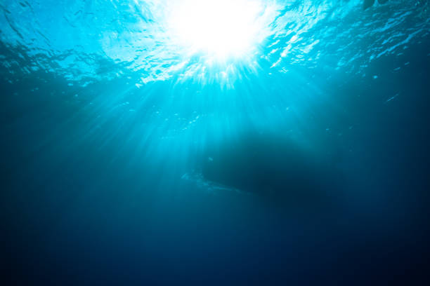 istock Blue waters of the ocean illuminated by bright sunlight 2130024934