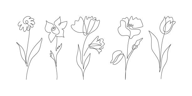 line art Set of hand drawn one line abstract flower, wedding herb, leave, wildflower for logo or tattoo. Minimal line art drawing for print, cover. Vector illustration vector rose bouquet stock illustrations