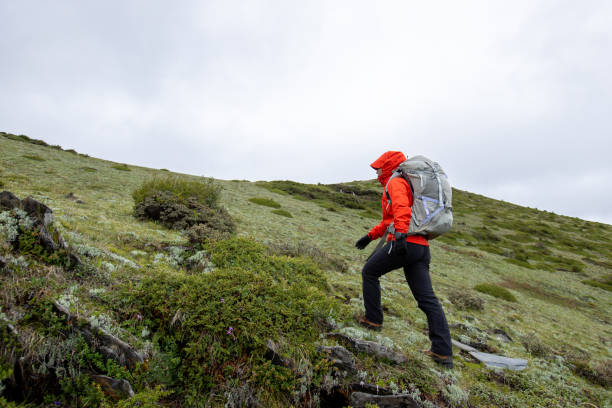 istock Hiking woman on high altitude mountain top 2130052284
