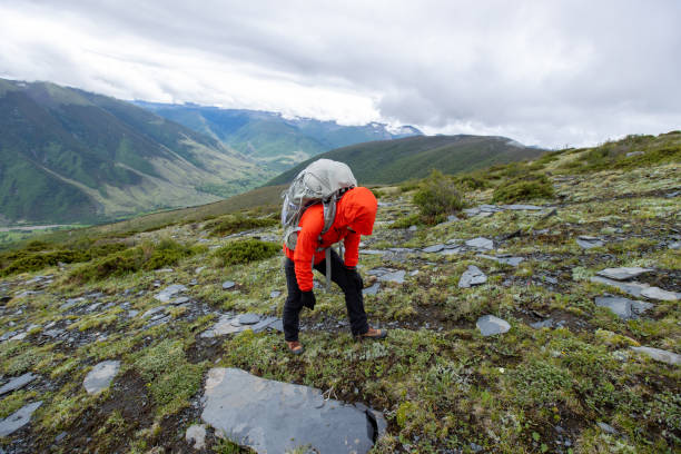 istock Hiking woman on high altitude mountain top 2130056964