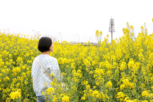 Young asian woman enjoys wandering through rapeseed (Brassica napus) field surrounded by bright colourful yellow flowers during spring summer season