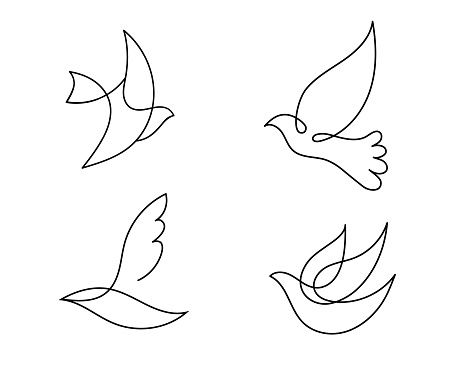 Vector set of monoline, line hand drawn birds. Flying dove, pigeon freedom illustrations. Sketches, symbols isolated.