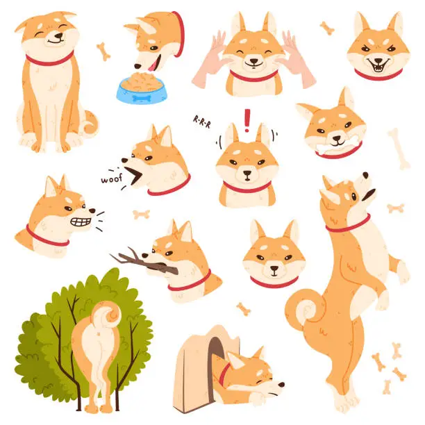 Vector illustration of Akita Inu Dog and Domestic Animal or Pet in Different Situation Vector Set