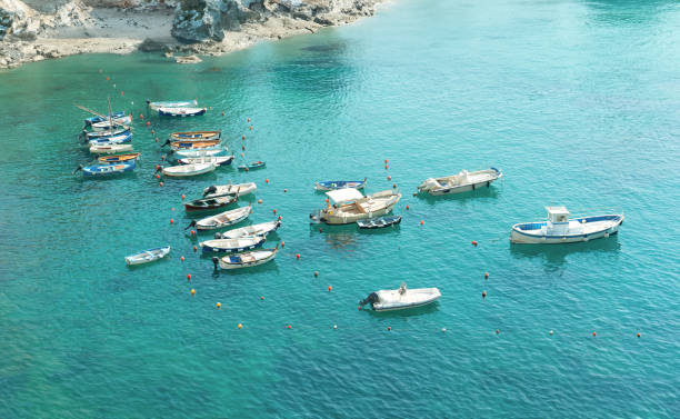 View of the bay of Vernazza in summer, Cinque Terre, Liguria, Italy