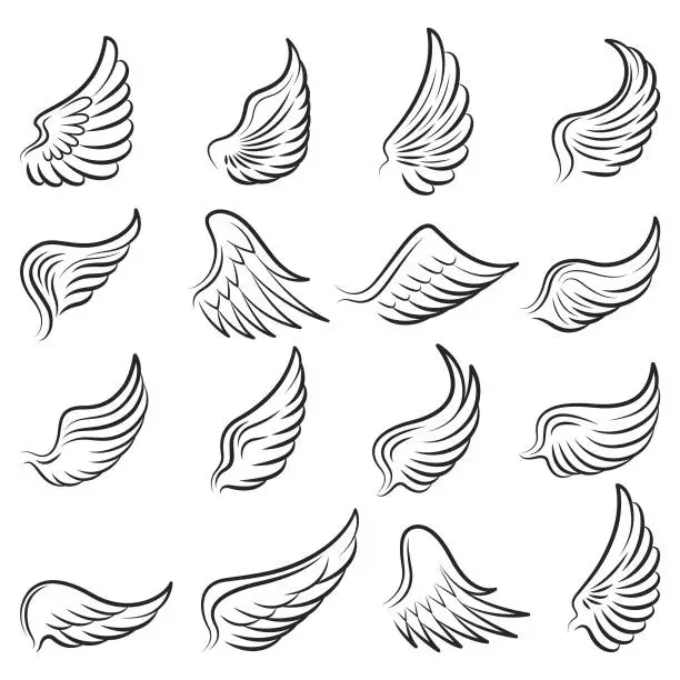 Vector illustration of Wings vector set