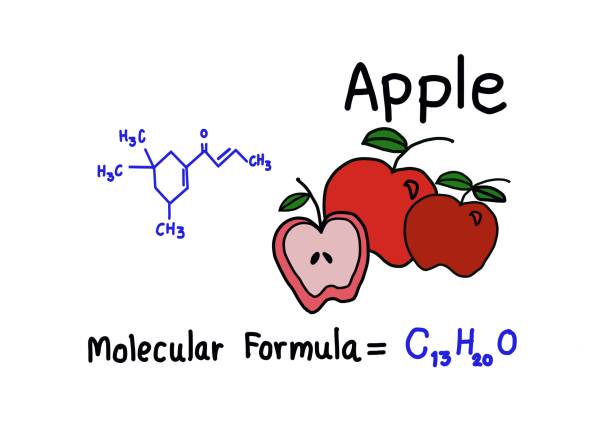 istock Hand drawn picture of apple fruits with molecular formula. Concept, Illustration for education. Teaching aid for teaching science, Chemistry about chemical formula structure of fruits in daily life. 2130286610