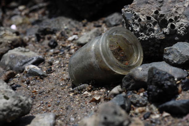 istock Garbage glass bottles on the beach 2130315537