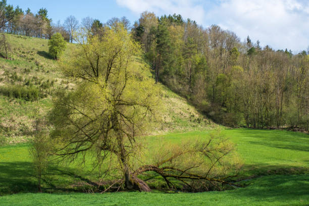 Hike in Franconian Switzerland