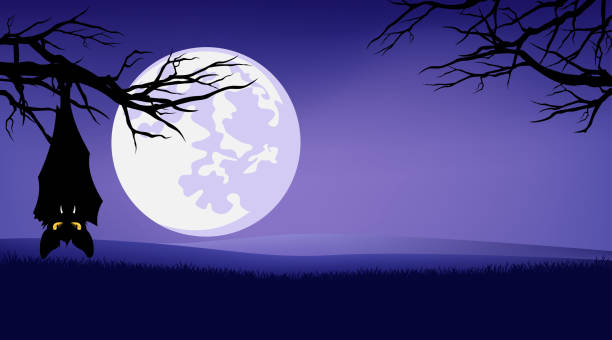 ilustraciones, imágenes clip art, dibujos animados e iconos de stock de fondo vectorial de halloween de murciélago vampiro espeluznante, luna llena y ramas desnudas de árboles - bat moon outdoors nature