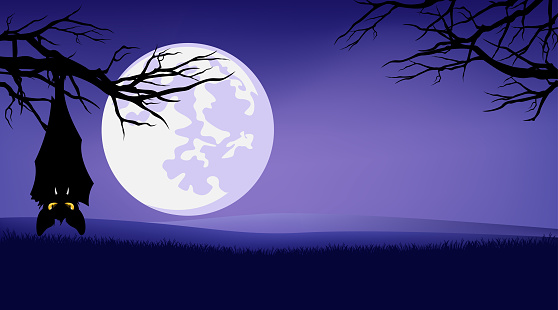 hanging vampire bat, bare tree branches and rising full moon background - halloween night theme vector copy space backdrop design