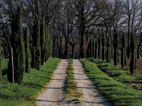Montecastrilli, Terni, Umbria, Italy:
Country roads in Umbria