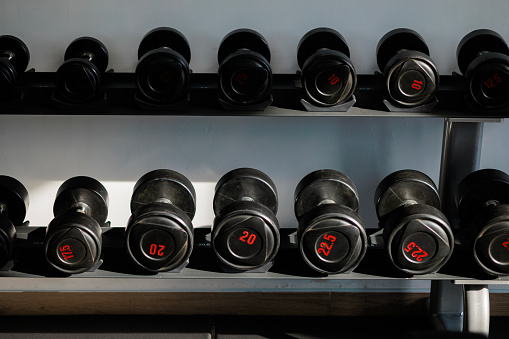 Selection of dumbbell weights arranged neatly on a rack, with sunlight shining on them.