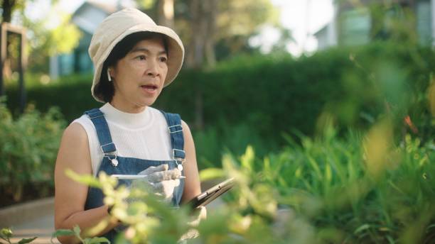 istock Growth business organic farm. 2130390814