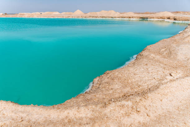 istock Turquoise salt lake, beautiful emerald, Siwa Oasis, Libyan Desert, Egypt 2130397570