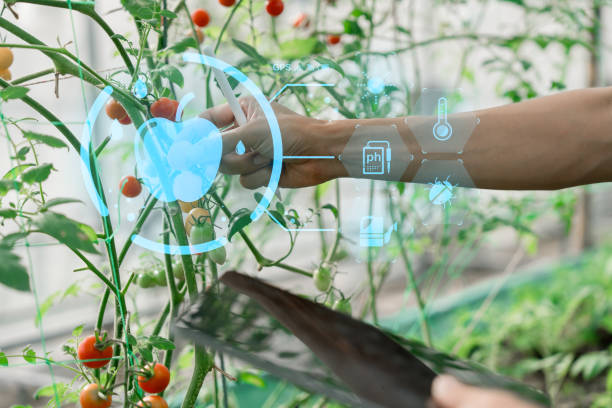 istock Ai for farming. iot Agriculture technology farmer man holding tablet or tablet technology to research about agriculture problems analysis data and visual icon. 2130425298