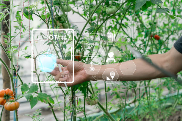istock Ai for farming. iot Agriculture technology farmer man holding tablet or tablet technology to research about agriculture problems analysis data and visual icon. 2130425301