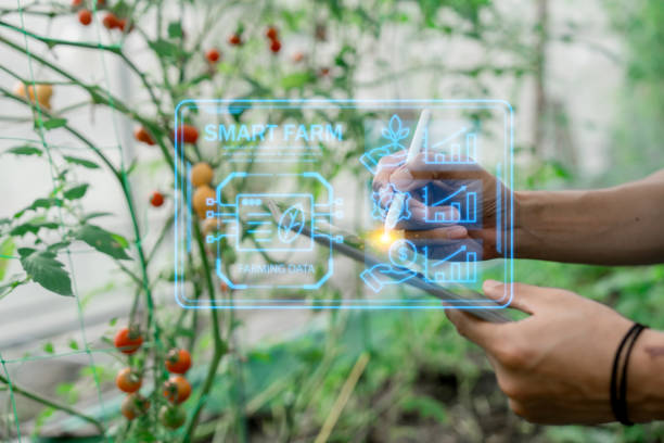 istock Ai for farming. iot Agriculture technology farmer man holding tablet or tablet technology to research about agriculture problems analysis data and visual icon. 2130425825