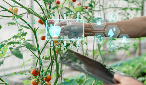 istock Ai for farming. iot Agriculture technology farmer man holding tablet or tablet technology to research about agriculture problems analysis data and visual icon. 2130425829