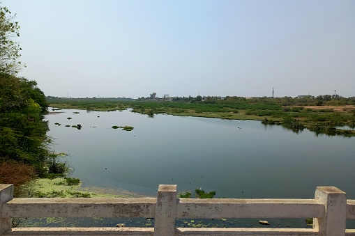 Agricultural, Wadhawan to Surendranagar Road, Gujarat  ( Bhogawo River)